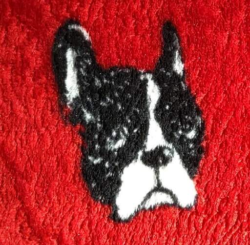 fabric printed with an image of a pug head or something. the forehead - saggycheeks triangle with mouth-cleft-blacknose sorta look like the arch logo