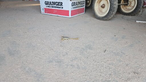 A scorpion in the middle of a dust covered, concrete floor. 